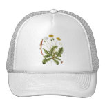 Vintage Dandelion Illustration Trucker Hats
