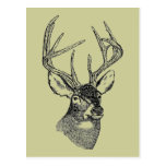 Vintage deer art graphic postcard