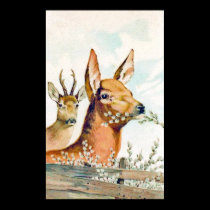 Vintage Deer Poster posters