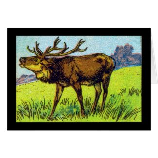 Vintage Deer Print Card