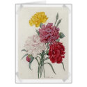 Vintage Dianthus - Photo Album Greeting Cards