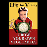 Vintage Dig for Victory Poster posters