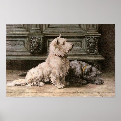 Vintage Dog Image Poster Zazzle