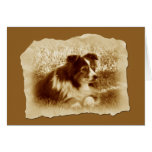 Vintage Dog in Sepia Tones Greeting Cards