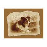 Vintage Dog in Sepia Tones