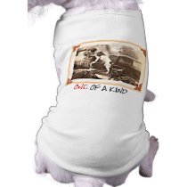 Vintage dog on bike pet clothing by lotzostuff Vintage dog on bike pet clothing