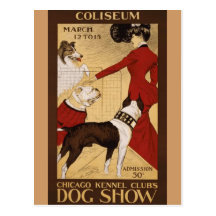 Vintage Dog Show Post Card