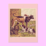 Vintage Dogs Art Postcard postcards