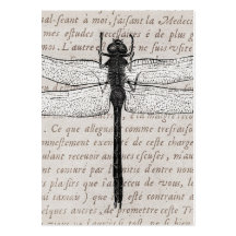 Vintage Dragonfly and Antique Text Collage Business Card Templates