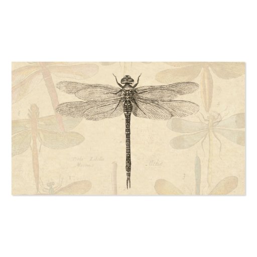 Vintage dragonfly drawing business card template (back side)
