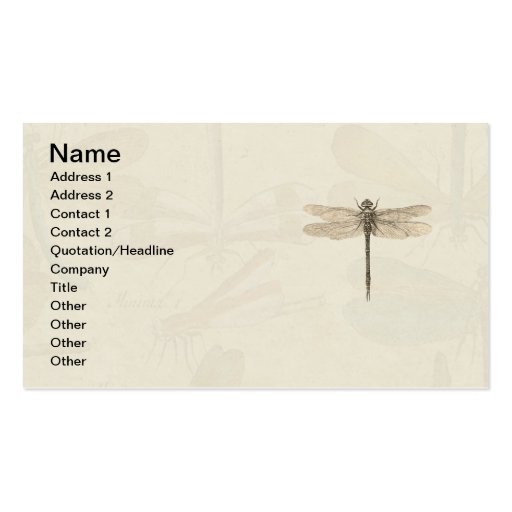 Vintage dragonfly drawing business card template (front side)
