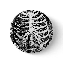 Vintage drawing of a ribcage pins