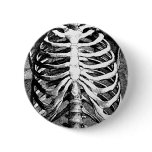Vintage drawing of a ribcage pins