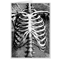 Vintage drawing of a ribcage cards