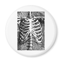 Vintage drawing of a ribcage fridge magnets