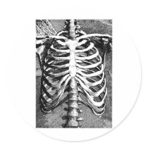 Vintage drawing of a ribcage round sticker