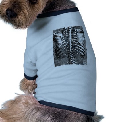 Vintage drawing of a spine and ribcage pet clothing