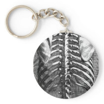 Vintage drawing of a spine and ribcage keychains