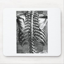 Vintage drawing of a spine and ribcage mouse pad