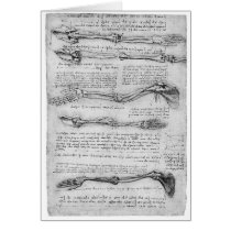 Vintage drawing of arm structure cards