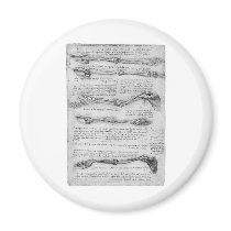 Vintage drawing of arm structure fridge magnet