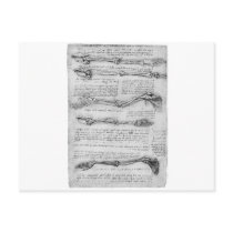Vintage drawing of arm structure post cards