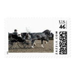 Vintage Driving Horse Stamps