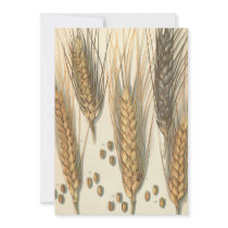 Vintage Drought Resistant Wheat Varieties Personalized Invitations