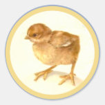Vintage Easter Baby Chick Sticker
