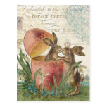 Vintage Easter bunnies notecard postcards