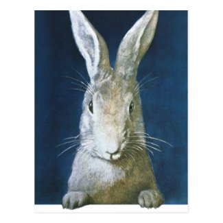 Vintage Easter Bunny, Cute Furry White Rabbit Post Card