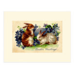 Vintage Easter Bunny Post Card