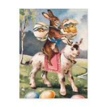 Vintage Easter Bunny Postcard