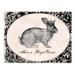vintage Easter bunny  postcard postcards