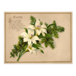 Vintage Easter Lily Postcard