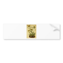 Vintage Edelweiss Bumper Sticker