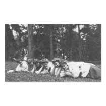 Vintage Edwardian Women Rectangle Stickers