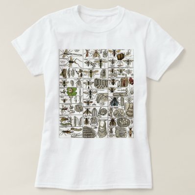 Vintage Entomology T Shirt