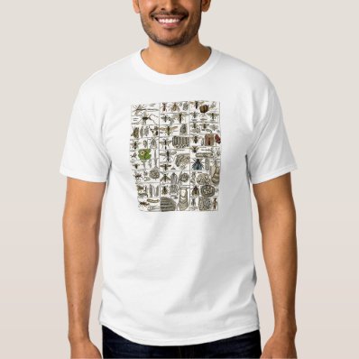 Vintage Entomology Tshirt