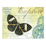 Vintage Explore Butterly...postcard postcards