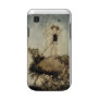 Vintage Faeries Samsung Galaxy S Covers