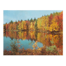 Vintage Fall Scene Postcards