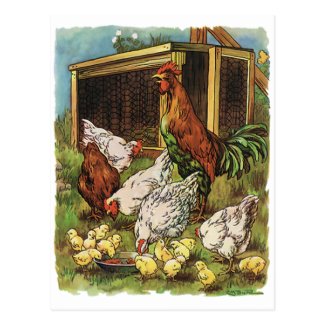 Vintage Farm Animals, Rooster, Hens, Chickens Postcards