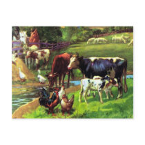 Vintage Farm Postcard