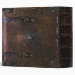 Back/Spine