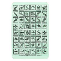 Vintage Fish Identification Fridge Magnet magnets