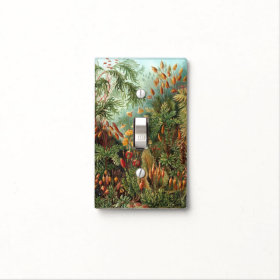 Vintage Flora Moss Plant Muscinae by Ernst Haeckel Light Switch Plate