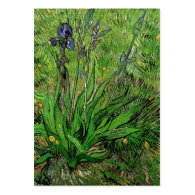 Vintage floral garden flower Iris by Van Gogh. Business Card Templates