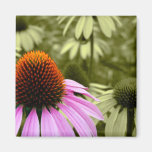Vintage Floral Magnet magnets