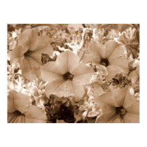 Vintage Floral posters by PanoramicEye Vintage Floral posters